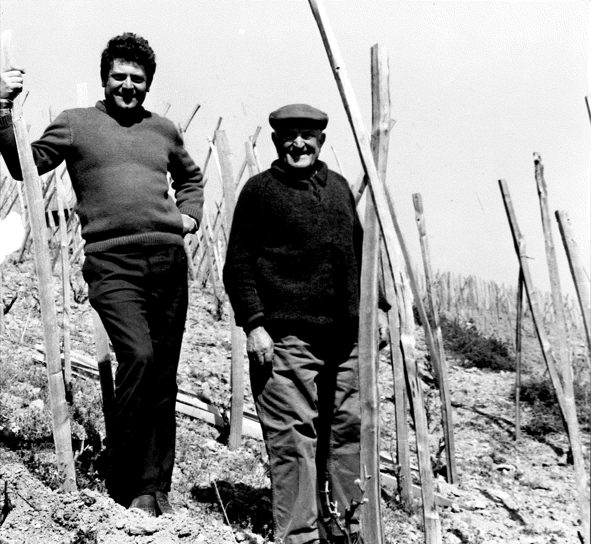 Domaine Jasmin