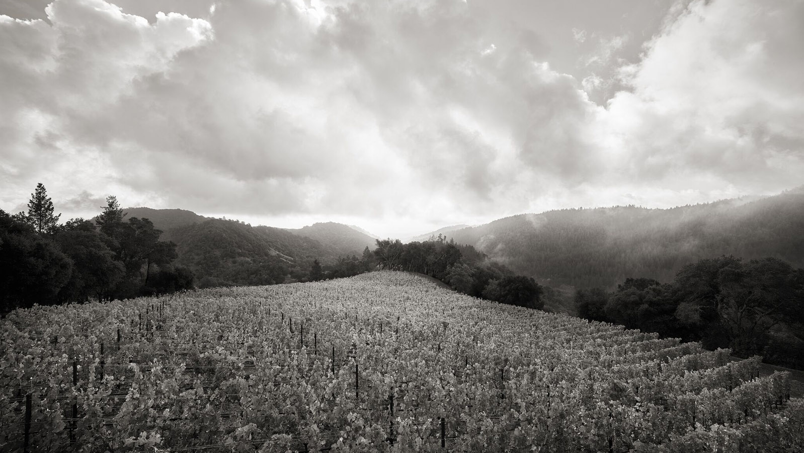 Promontory
